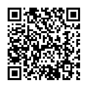 Com-fatal-error-81o2u-contact-support.us QR code