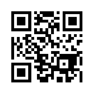 Com-losts.info QR code