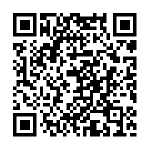 Com.dob.sibl.support-intelligence.ne QR code