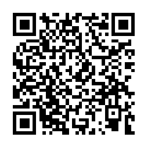 Com.pl.dob.sibl.support-intelligence.net QR code