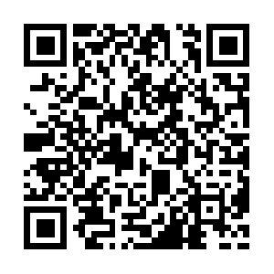 Commercialserviceprofessionalstn.com QR code