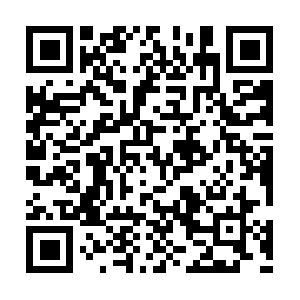 Commonsenseguidetodrivingatruck.com QR code