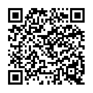 Comparativeconstitutionsproject.org QR code