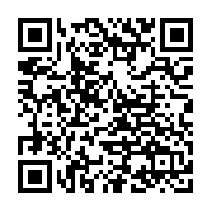 Conf-snake.esa.heytapmobi.com.localdomain QR code