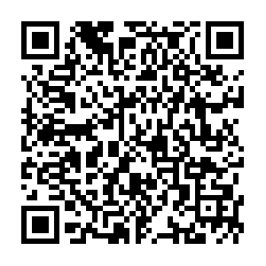 Conf.piojm.tech.getcacheddhcpresultsforcurrentconfig QR code