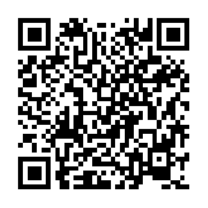 Confederatedtribesofwarmsprings.org QR code