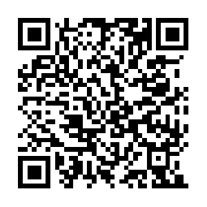 Construccionesnavarroyasociados.com QR code