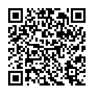 Consultorialegaldelservidorpublico.com QR code