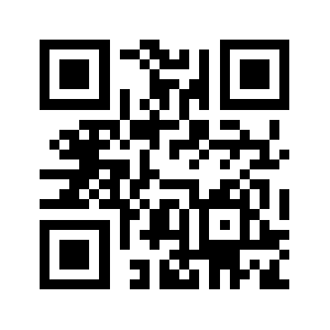 Copperkiwi.com QR code