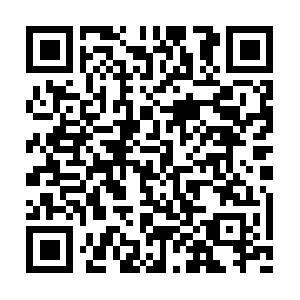 Cordial.io.dob.sibl.support-intelligence.net QR code