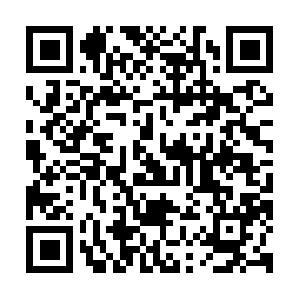 Corporacioncasadelaculturapedregal.org QR code