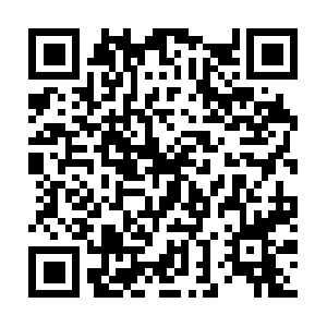 Corpuschristicaraccidentlawsuit.com QR code