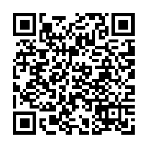 Corsidiformazioneprofessionalecatania.com QR code