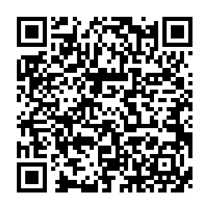 Corsoalimentaristicorsoalimentaristicorsoalimentaristi.org QR code