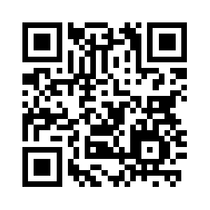 Counter-server.com QR code