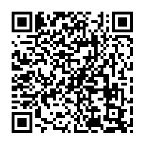 Crossover.in.dob.sibl.support-intelligence.net QR code