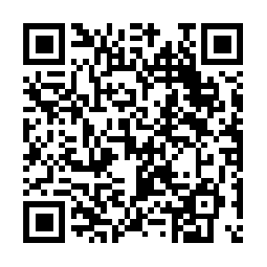 Cscdbs-test-domain-07192017-cert2.com QR code