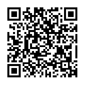 Cscdbs-test-domain-11122014-127-008.com QR code