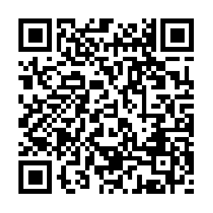 Cscdbs-testdomain-11082018-raytest2.com QR code