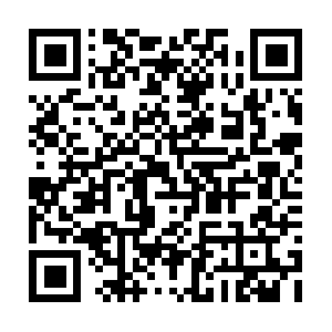 Cscdbstest-bpl02aregression-a05.biz QR code