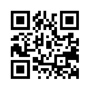 Ctdigchess.com QR code