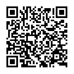 Culturalimmersionsustainability.net QR code