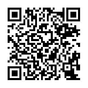 Curiforserviciotecnicofortaleza.com QR code