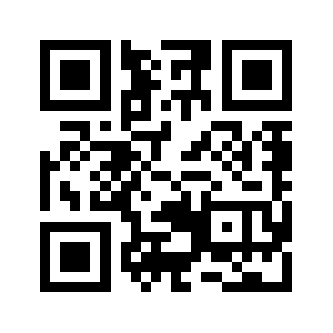 Custom.bnc.lt QR code