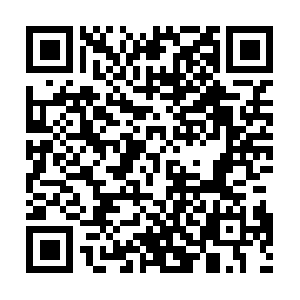 Customer-static-69-236-172.iplannetworks.net QR code