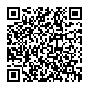 D-0qk0oi5uql.execute-api.ap-southeast-1.amazonaws.com QR code