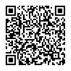 D-plkivtu6tc.execute-api.us-west-2.amazonaws.com QR code