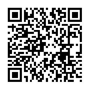 D1c6ff8101a942ef9597a3202f100908.com QR code