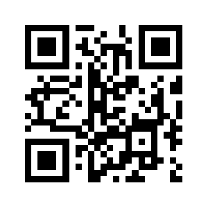 D1g1.biz QR code