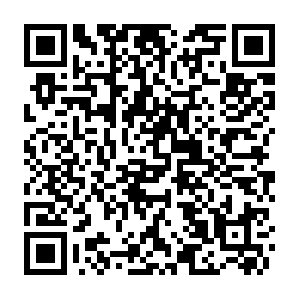 D4a8faa4-b69a-463d-85cd-f8536a21df05.distil.ninja QR code