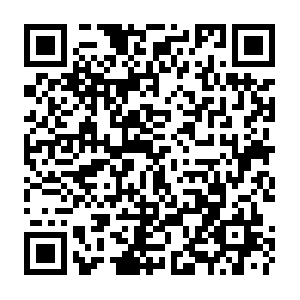 D7cd8f7b-5fe6-42ac-9246-2e18b0a87f19.distil.ninja QR code