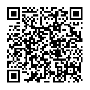 D8b7ef80-277e-45b6-a843-70f4191b65ee.distil.ninja QR code