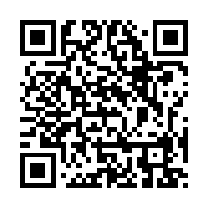 Dampfrundum-flensburg.net QR code