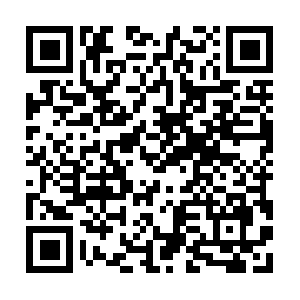 Danishnon-eustudentsassociation.org QR code