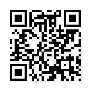 Dashcamoutlet.com QR code