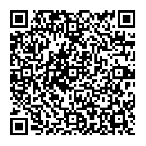 Data-platpush2-broker-internet-d8c91cc93198a788.elb.us-east-1.amazonaws.com QR code