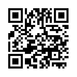 Dataminesinfra.com QR code