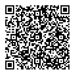 Davinci-commisions-contracts-payments-disputes-unfinished-works.com QR code
