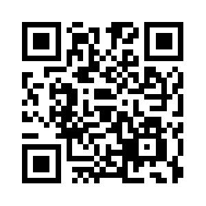 Daybydaymonument.com QR code