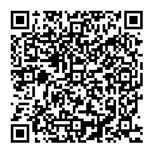 Dazzling-princess-made-in-heaven-edges-line-up-create-gems-wall.com QR code