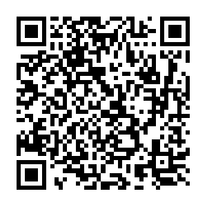 Dcinside-worker-1720007120.ap-northeast-2.elb.amazonaws.com QR code