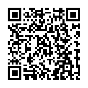 Dcintl.push.oppomobile.com.itotolink.net QR code