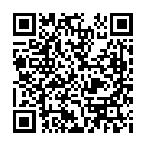 Dcintl.push.oppomobile.com.totolink QR code