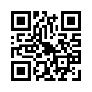 Ddns.style QR code