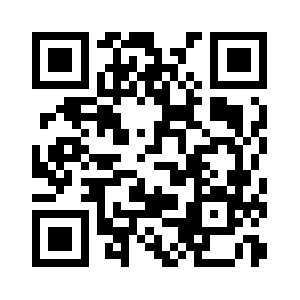 Debuggingservices.com QR code