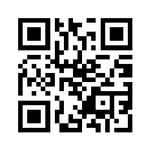 Debugtech.com QR code